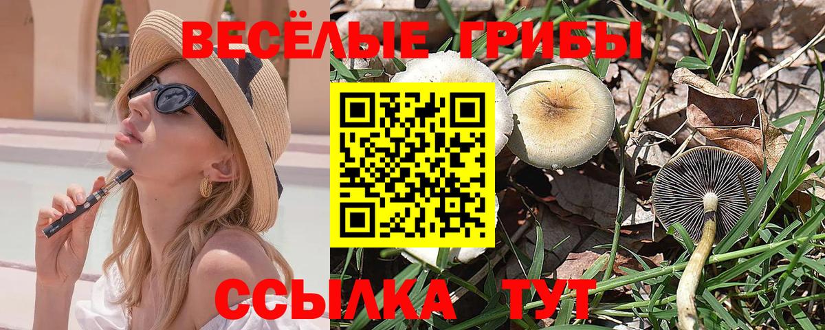 Мариинск  Псилоцибиновые грибы Psilocybe  Галлюциногенные грибы ЛСД  Вход с VPN 
